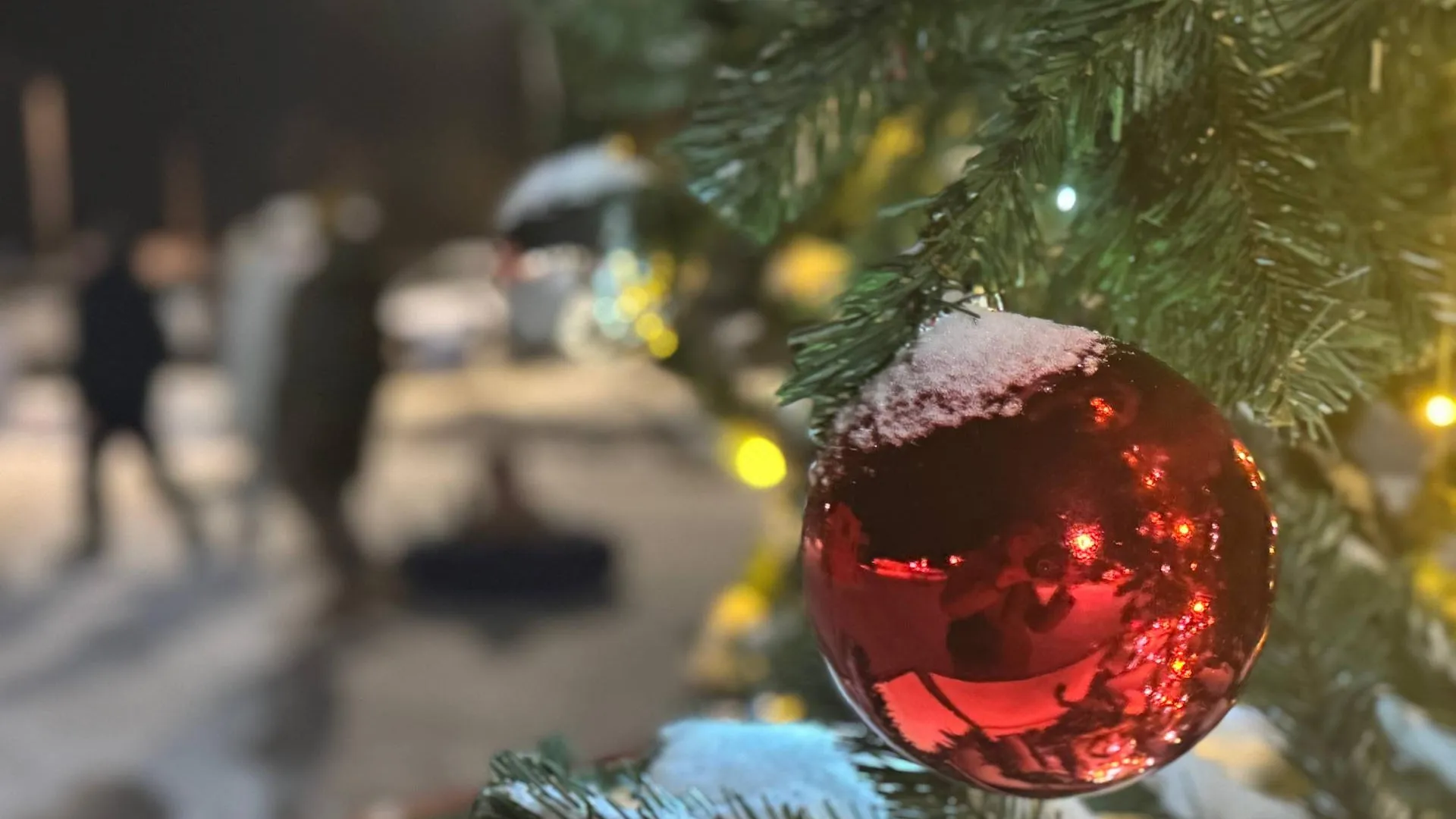 Фото: пресс-служба администрации Можайского м.о.