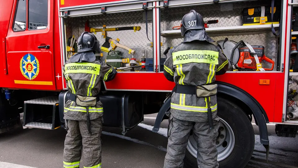 Фото: медиасток.рф