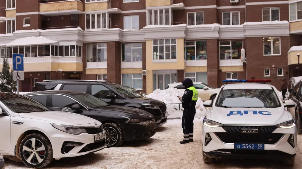 Фото: пресс-служба администрации городского округа Ступино