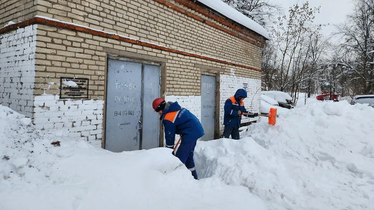 Фото: МедиаБанк Подмосковья/Екатерина Мелкозерова
