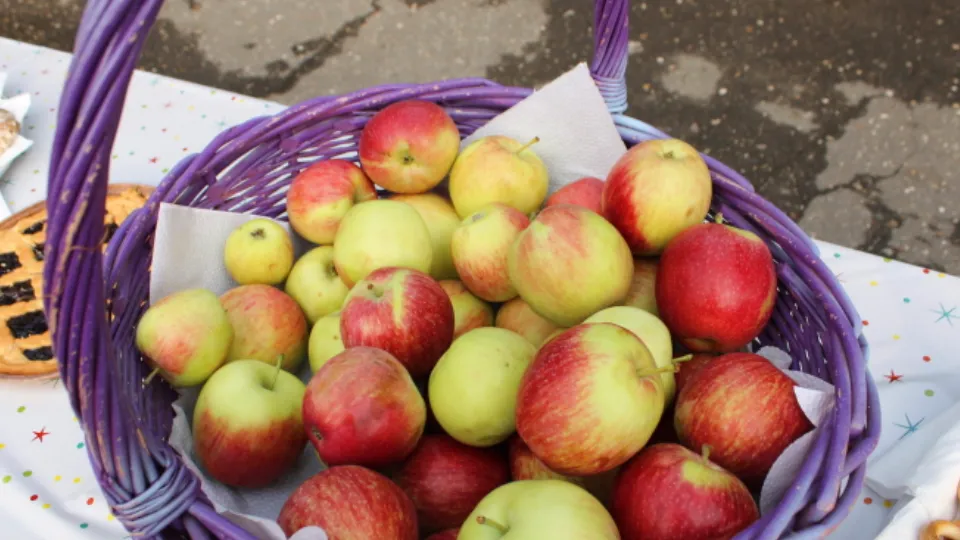 Фото: МедиаБанк Подмосковья/Екатерина Кирдина
