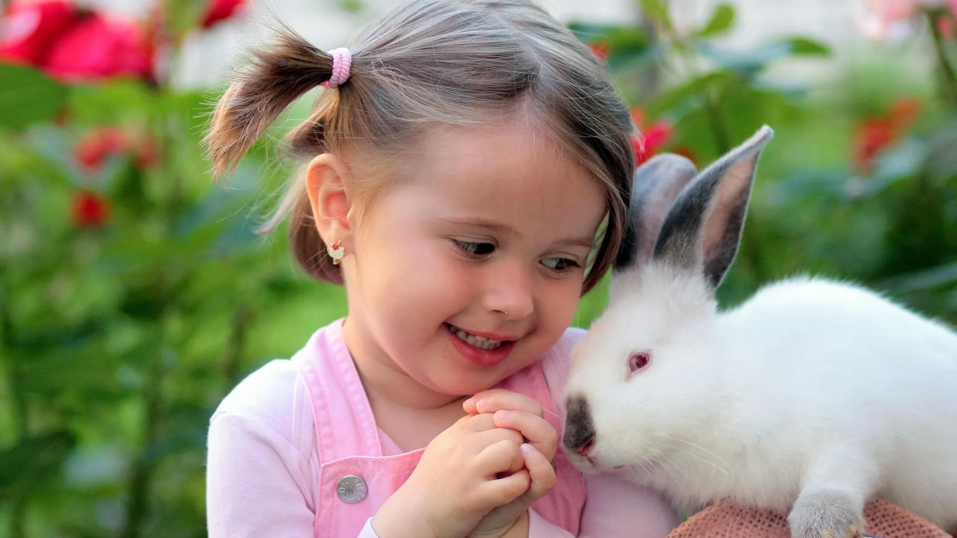 Фото: pxhere.com