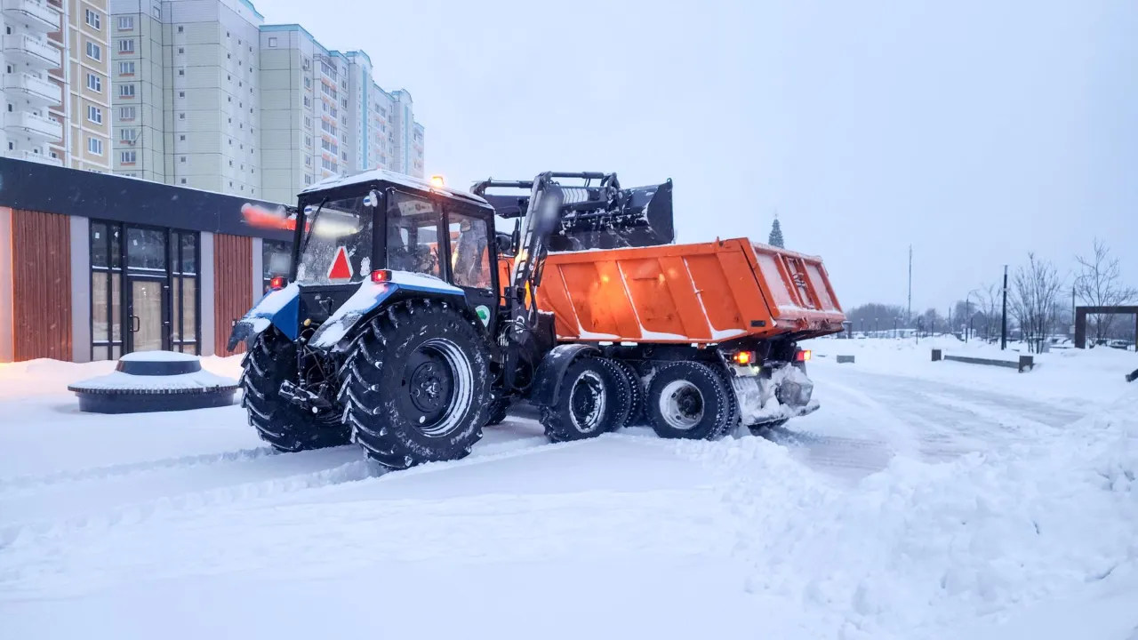 REGIONS/Мария Андрюхина