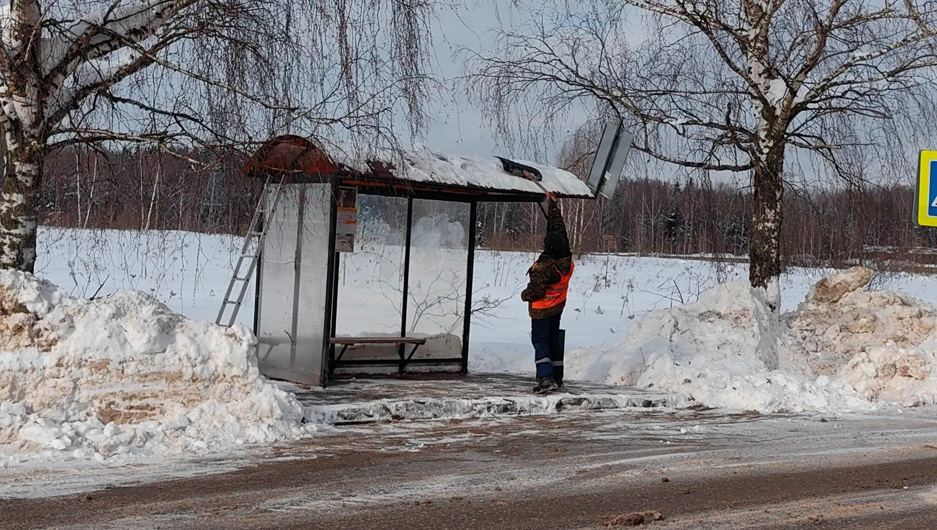 Елена Катасонова