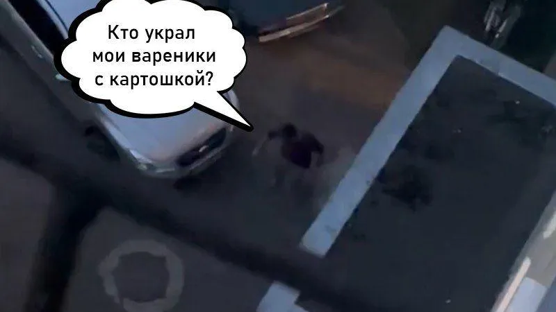 «Украли килограмм вареников, прямо из кармана»: мужчина из Дубны удивил соседей своим монологом