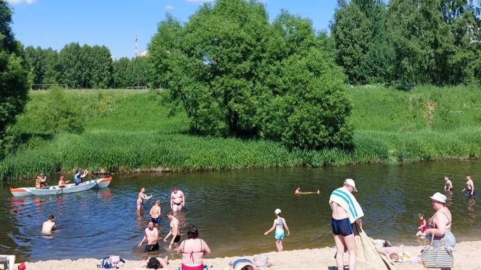 Фото: vk.com/Администрация городского округа Истра