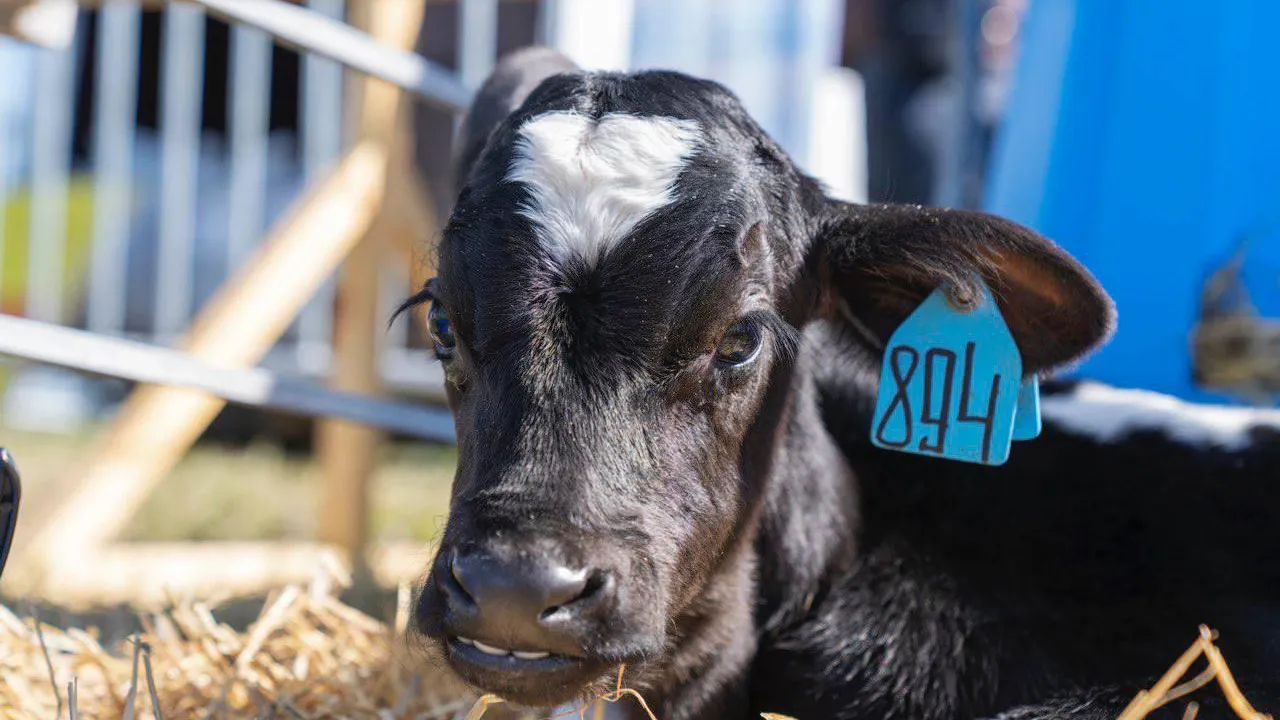 Пресс-служба Минсельхозпрод МО