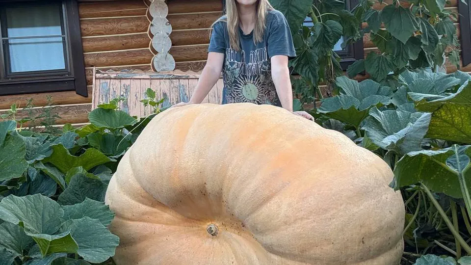 Фото: Алина Романова