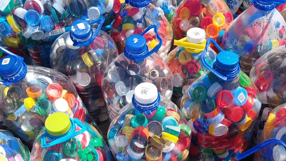 Фото: МедиаБанк Подмосковья/Светлана Плотникова