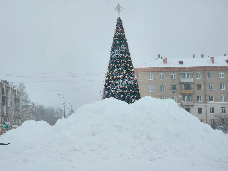Фото: МедиаБанк Подмосковья/Роман Савельев