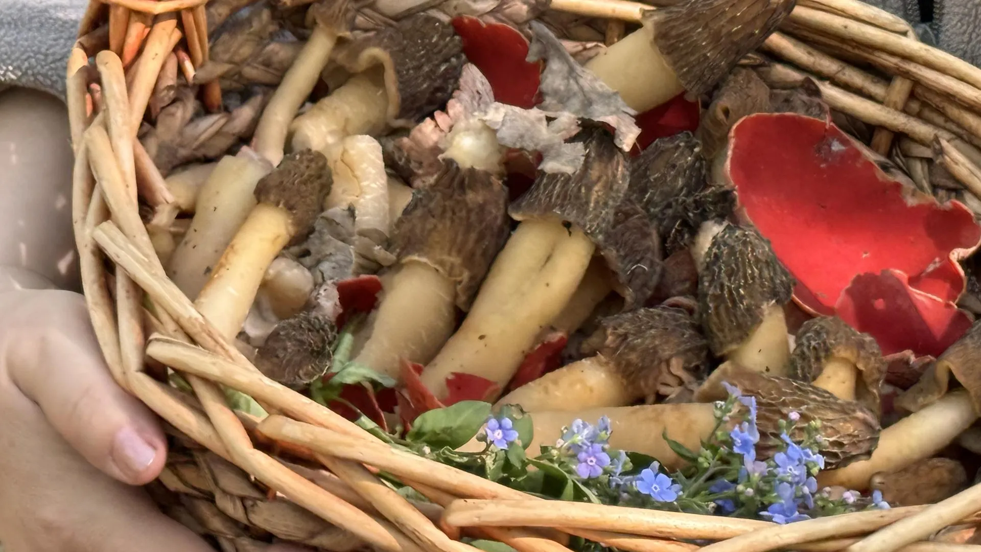 МедиаБанк Подмосковья/Мария Шматкова