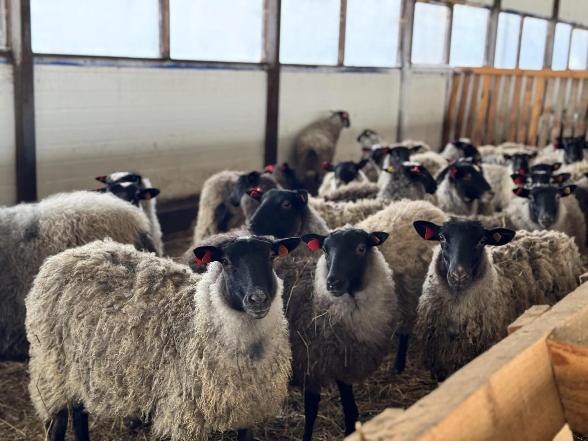 Татьяна Рунова