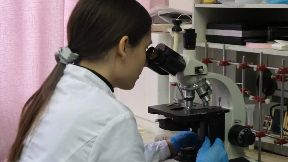 Фото: Мария Панина