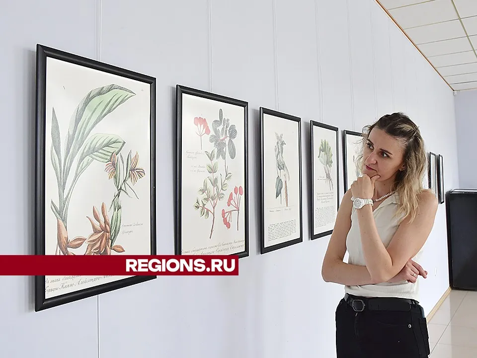 Фото: REGIONS/Наталья Бычкова<br>