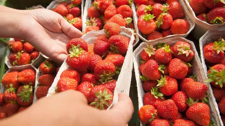 Фото: freepik.com