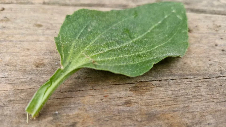 Фото: REGIONS/Наталия Надточая