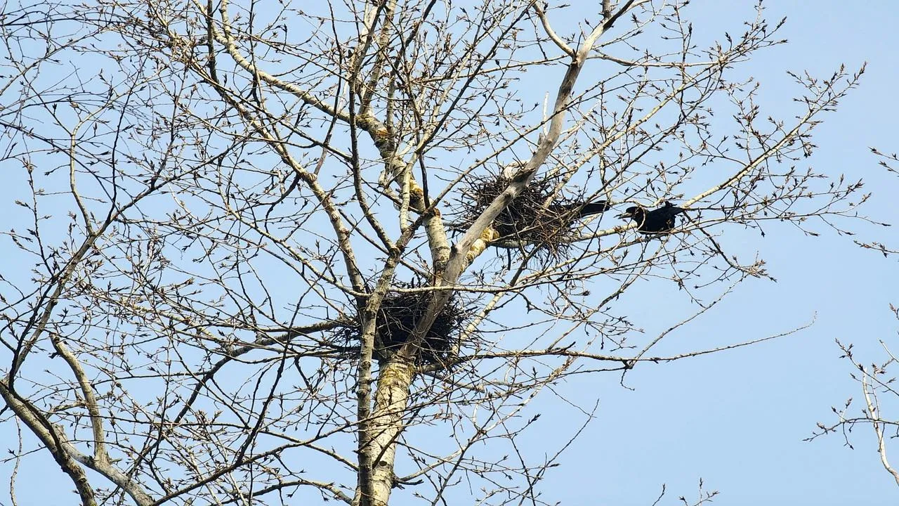 МедиаБанк Подмосковья/Мария Панина