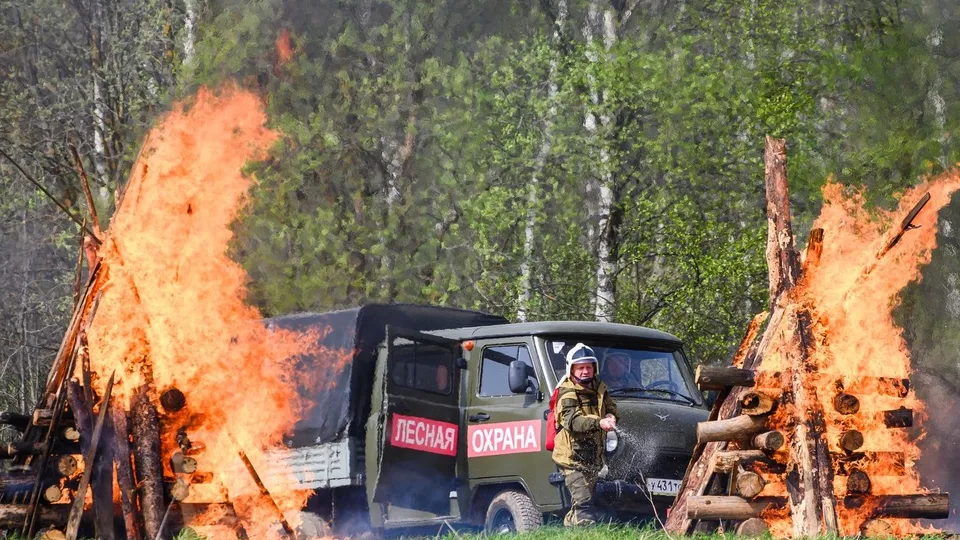 Фото: медиасток.рф