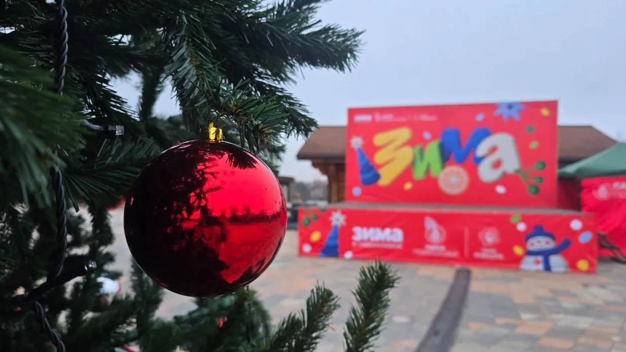 Фото: МедиаБанк Подмосковья/Яна Шаливская