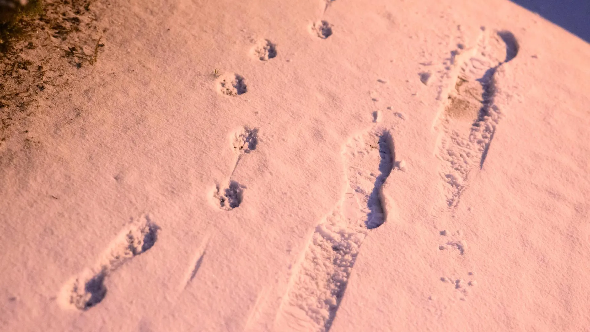 Julian Stratenschulte/dpa/Global Look Press