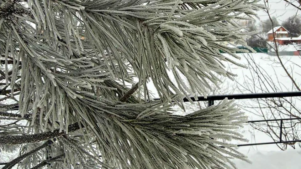 REGIONS/Роман Малышенко