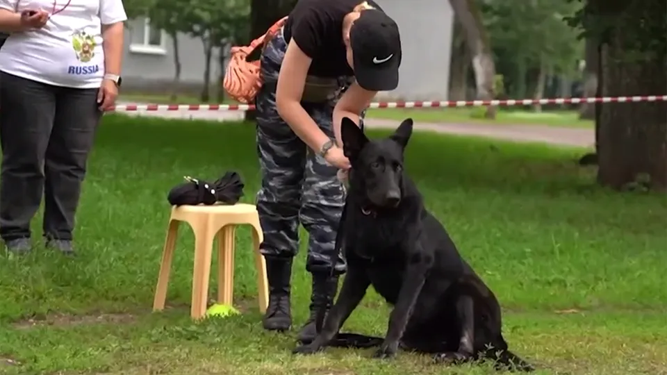 Фото: Щелковское телевидение