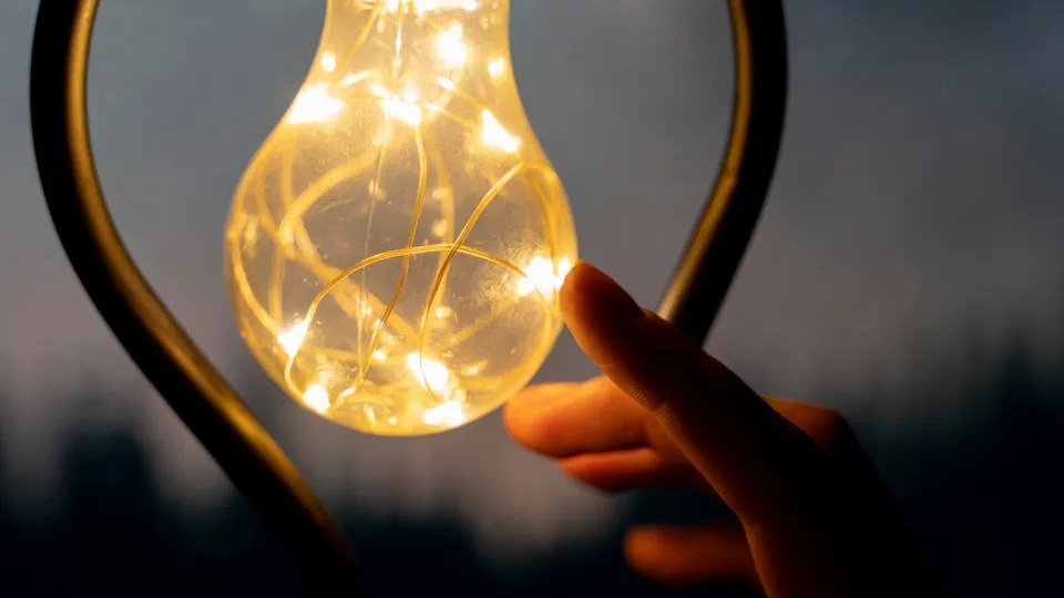 Фото: freepik.com