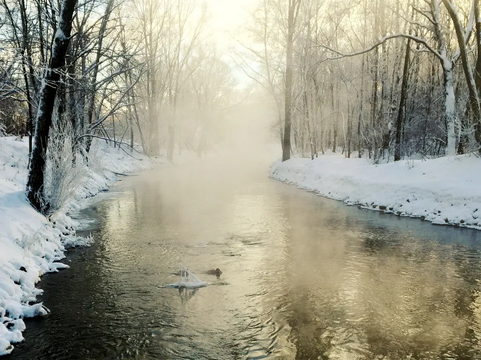 Фото: REGIONS/Владимир Ерастов