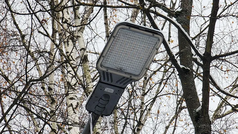 Фото: МедиаБанк Подмосковья/Валентина Максимова