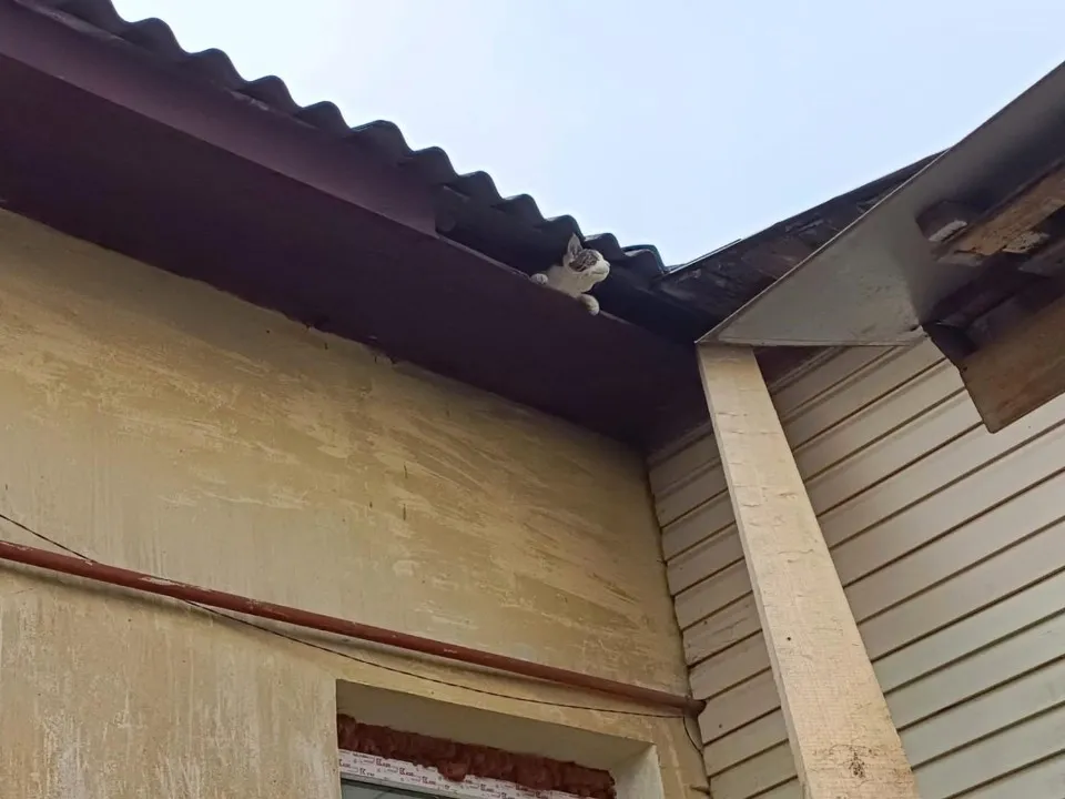 Фото: ГКУ МО «Мособлпожспас»