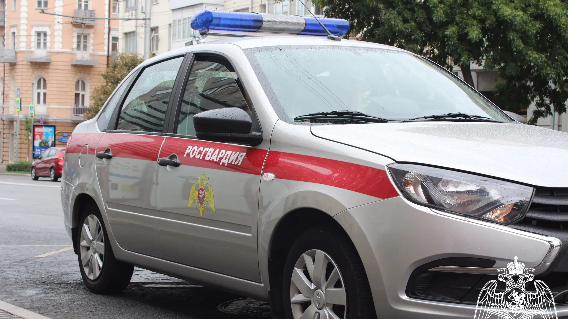 Источник: Одинцовская Росгвардия