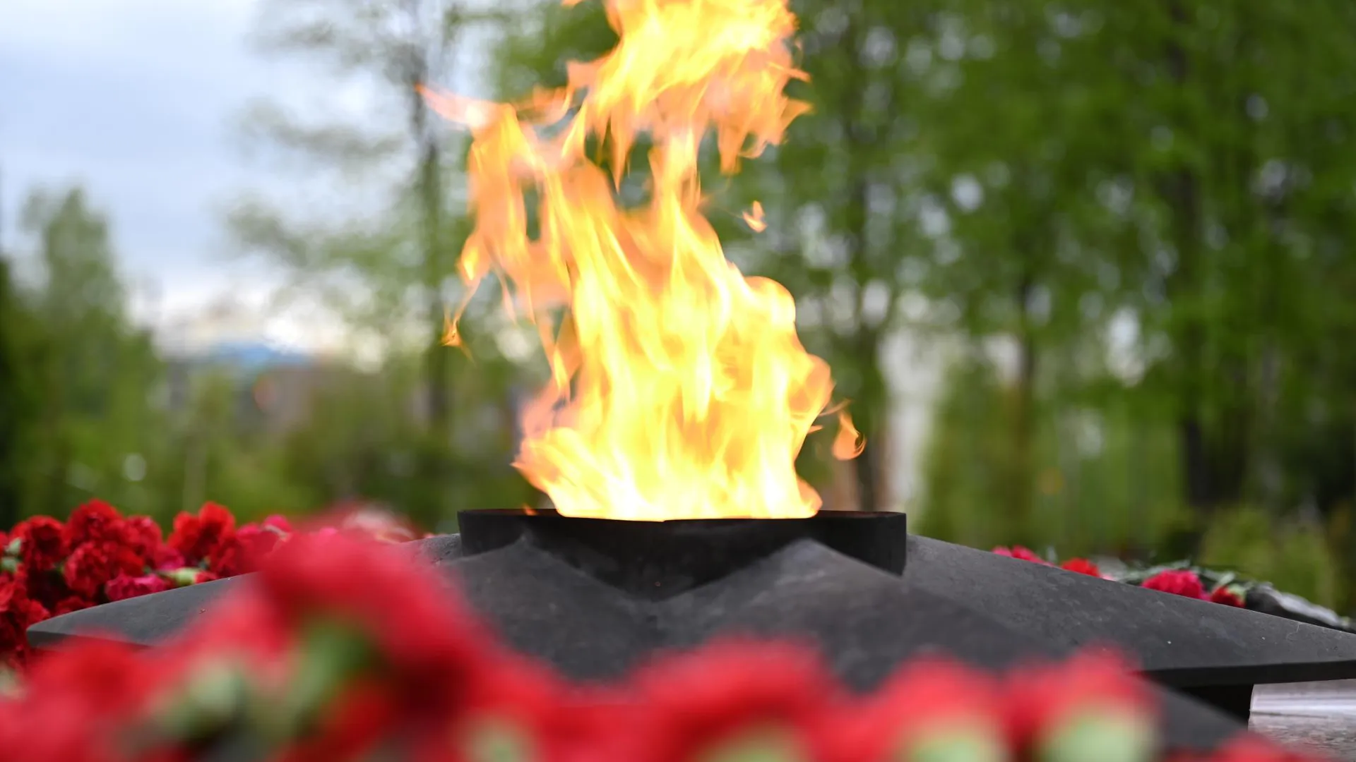 Фото: Администрация Ленинского городского округа