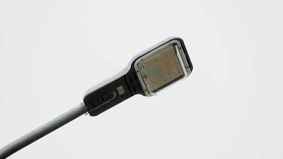 Фото: Министерство благоустройства Московской области