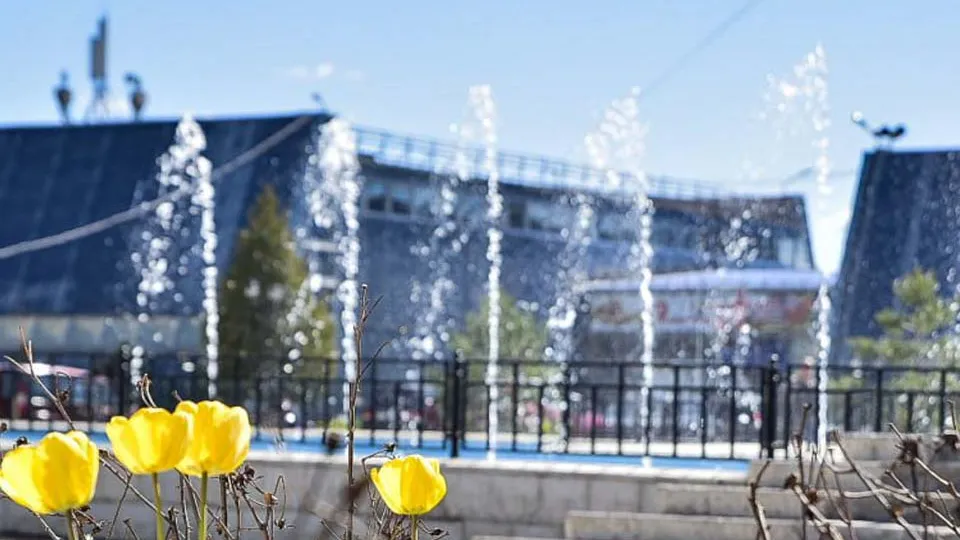 Фото: пресс-служба администрации г.о. Солнечногорск