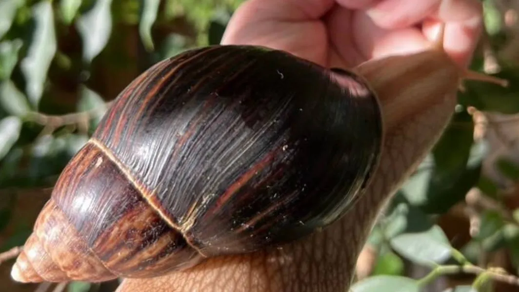 Фото: городская доска объявлений