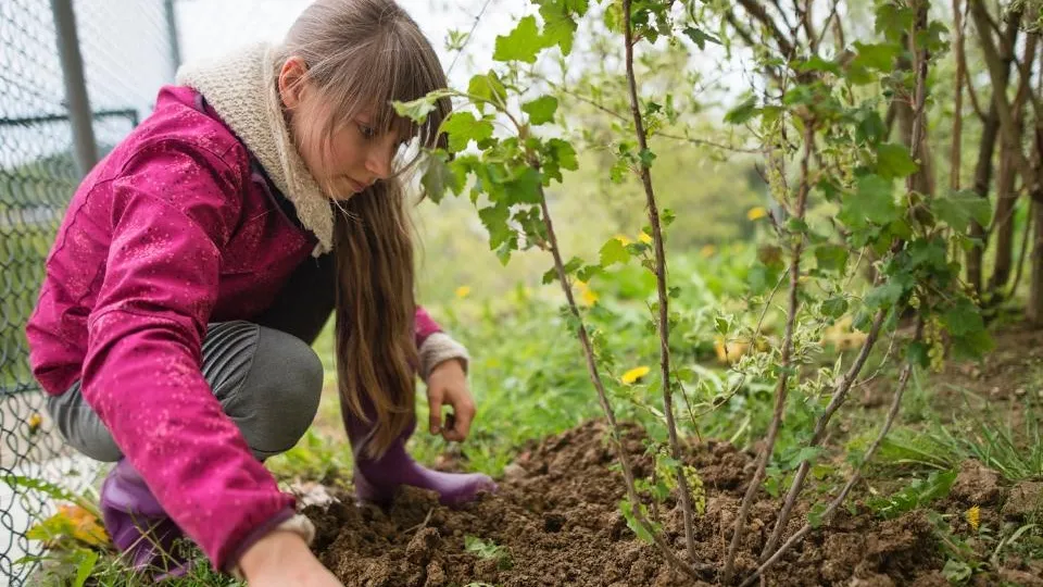 Фото: istockphoto.com/Imgorthand
