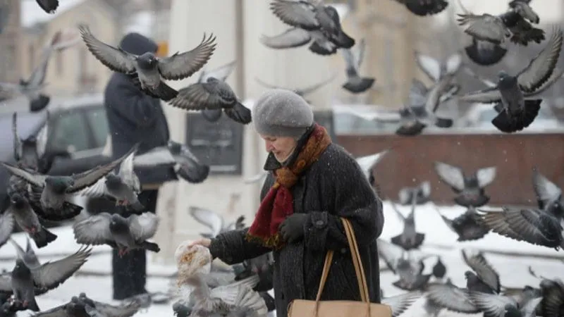 В Подмосковье некоторым пенсионерам подняли пенсию