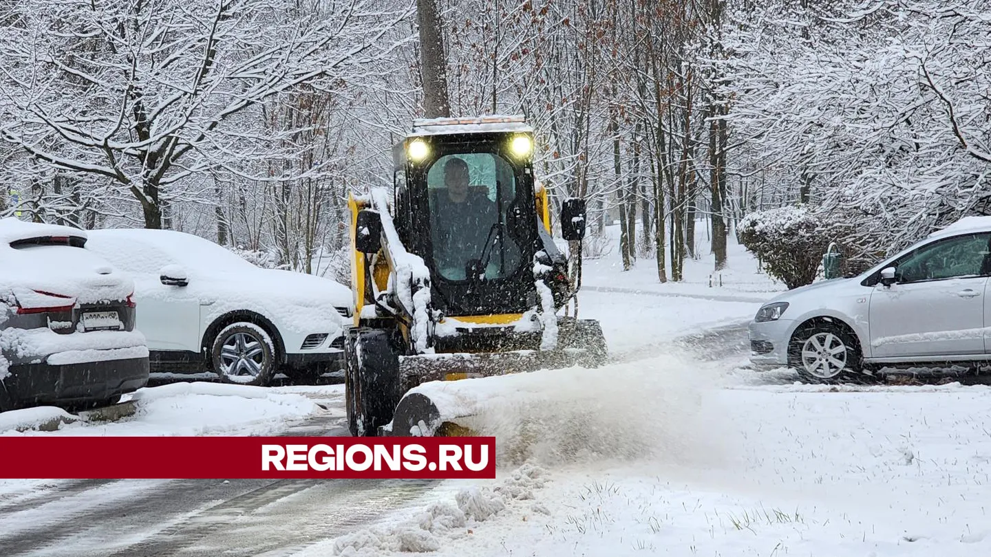 Фото: Андрей Семибратов