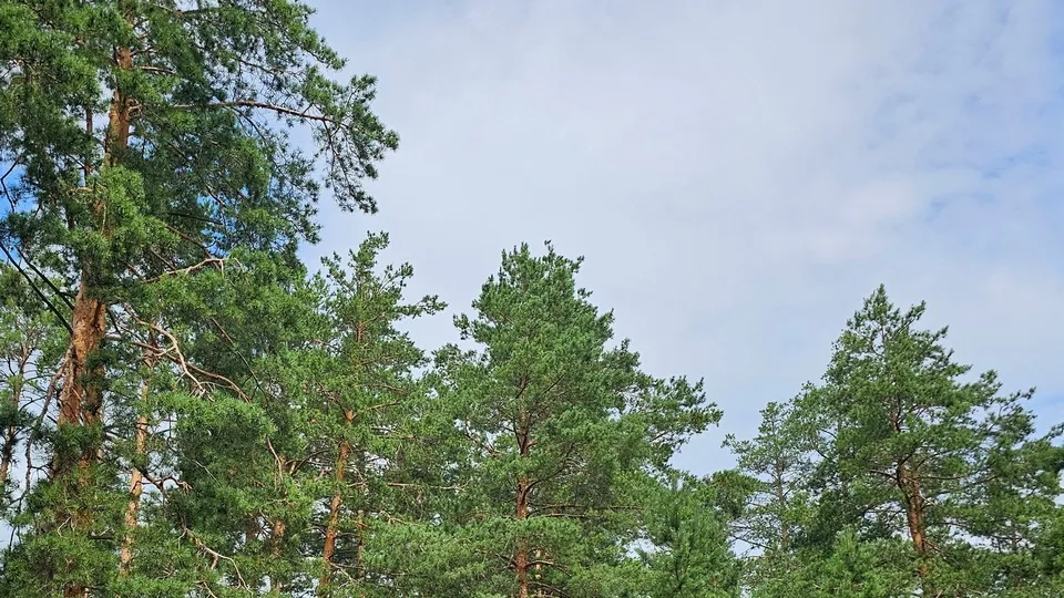 Фото: REGIONS/Александр Дрожжин