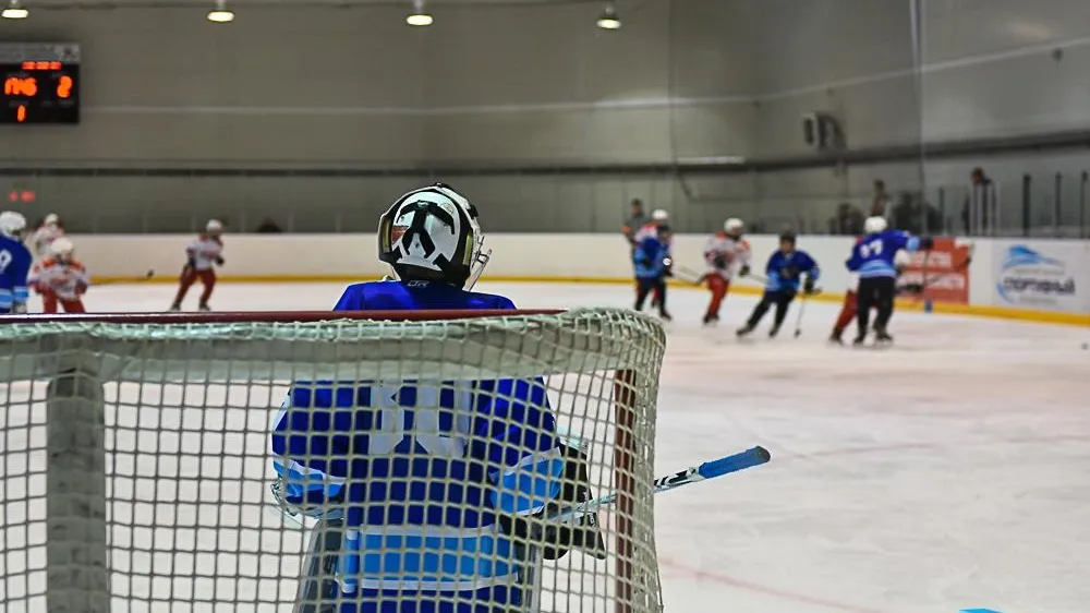 Фото: МБУ «Зарайский ледовый спортивный комплекс»