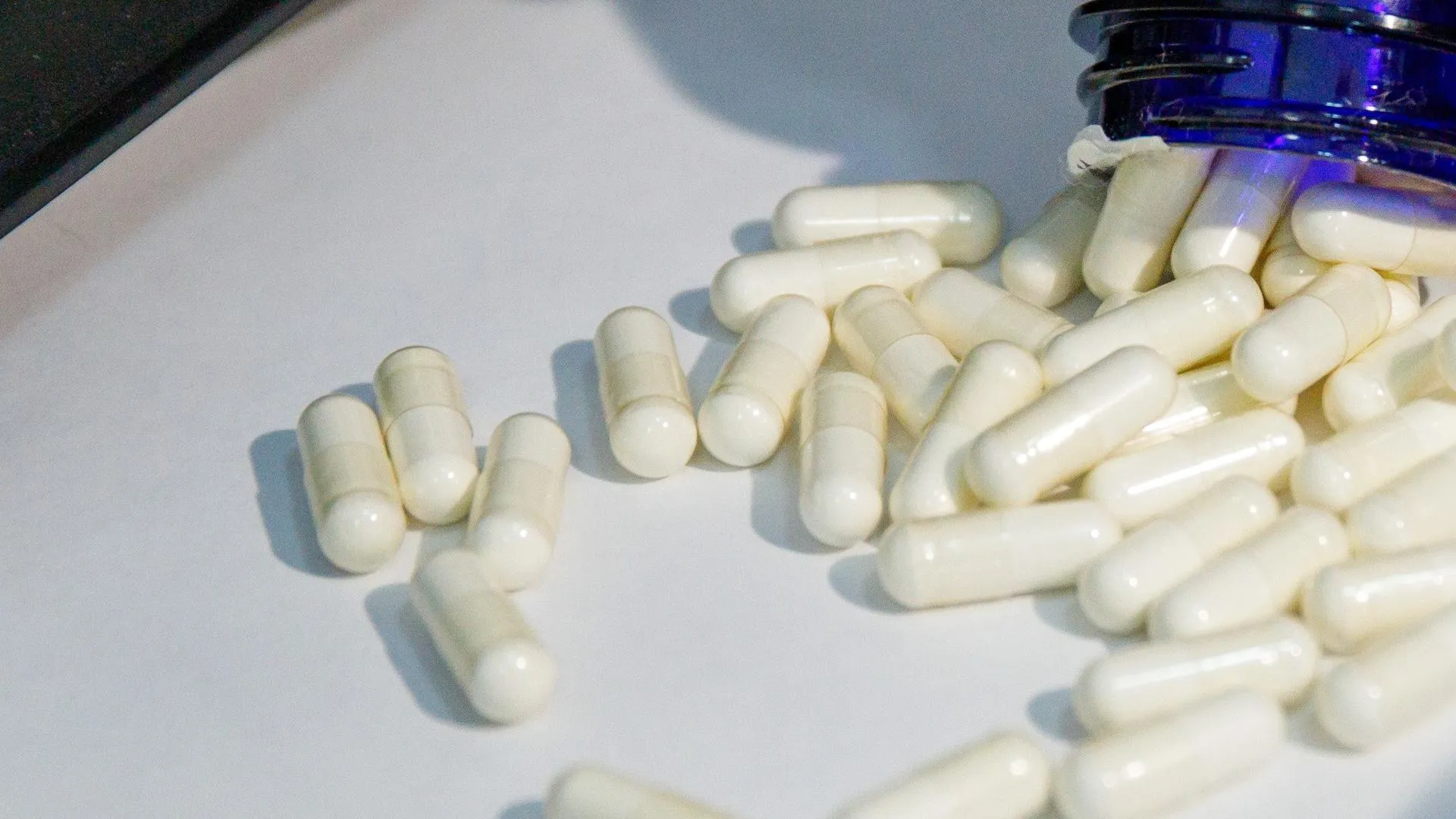 Ilya Moskovets/URA.RU