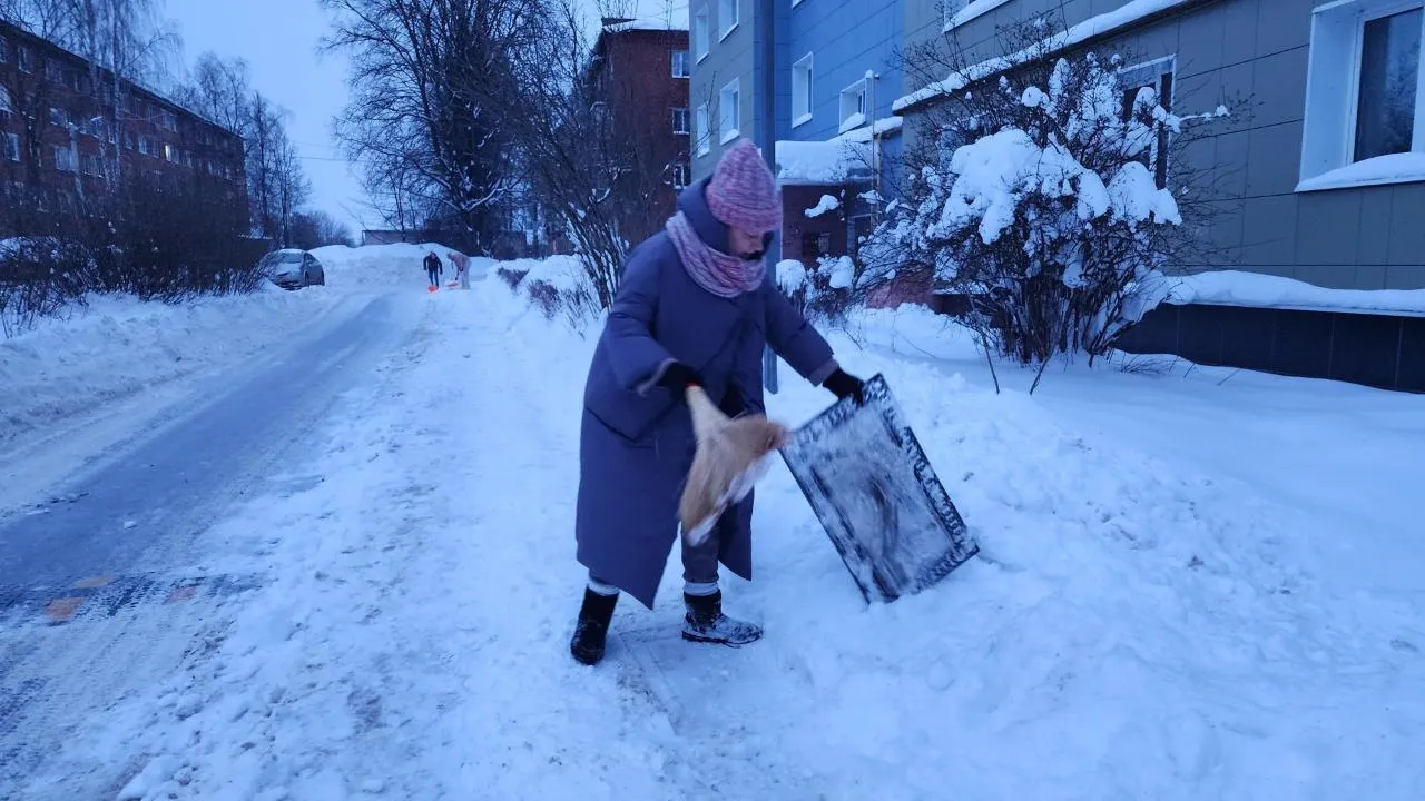 МедиаБанк Подмосковья/Дмитрий Беденко