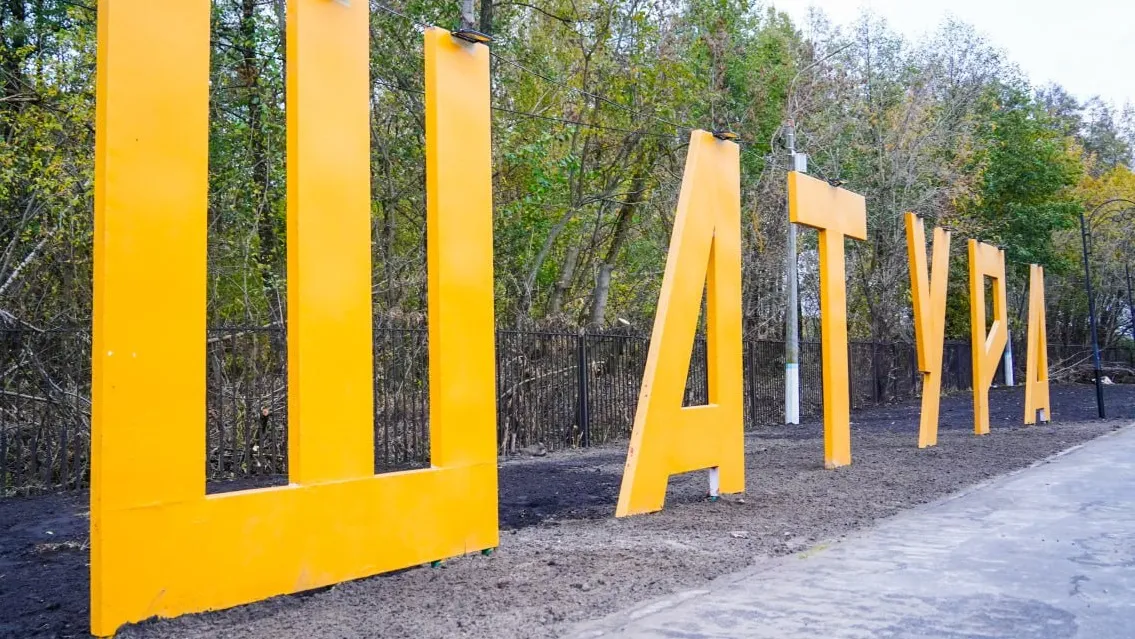 Фото: пресс-служба администрации городского округа Шатура