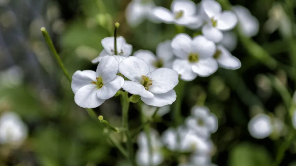 Фото: pxhere.com