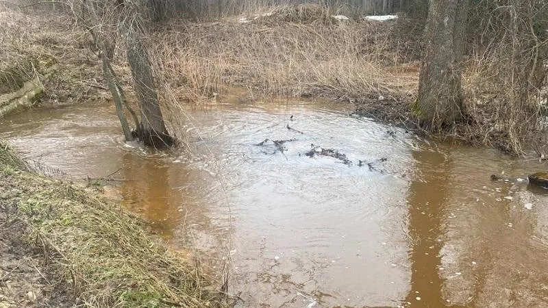 Фото: Минэкологии МО