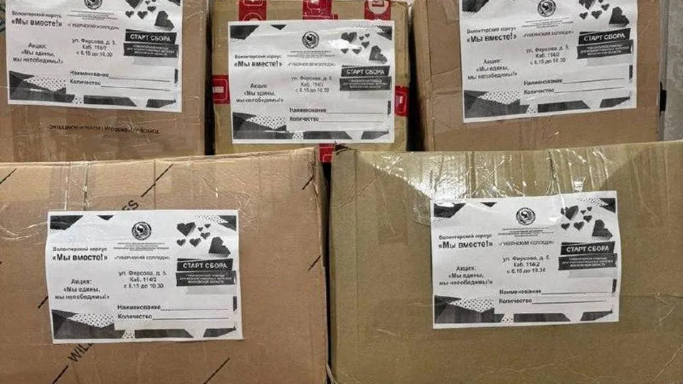 Фото: Минобразования МО