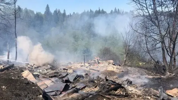 Фото ГУ МЧС России по Московской области