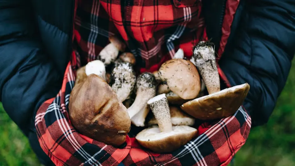 Фото: freepik.com