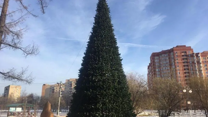 Двадцать пять елок установят в Люберецком районе к праздникам