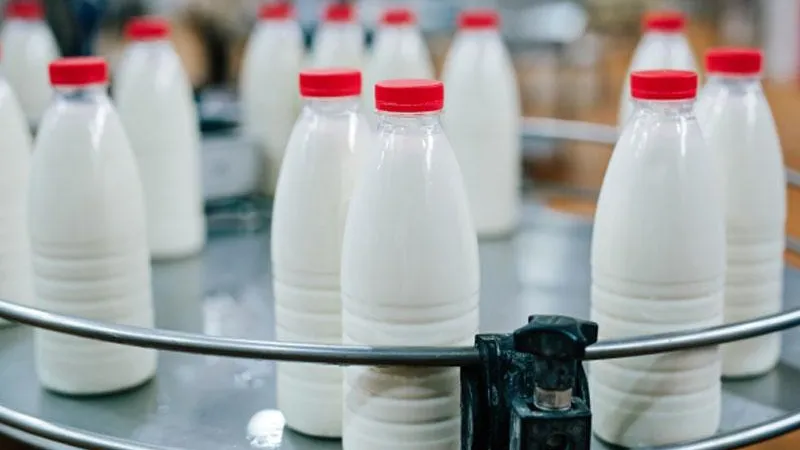 Обезжиренные молочные продукты помогают бороться с депрессией